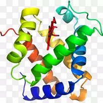 生物线动物剪贴画线-空若网 生物线动物剪贴画线-空若网