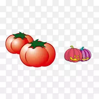 �����彷�߲��Ϲ�ˮ�������߲�-������