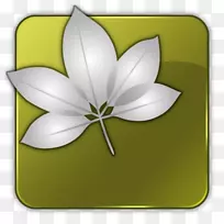 �����ͼ��adobe�̻����-������