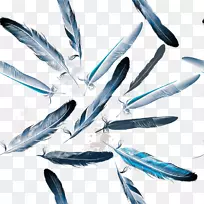 Ë®²Ê»Óðë-¿ÕÈôÍø Ë®²Ê»Óðë-¿ÕÈôÍø