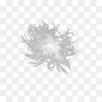 白色下载-羽毛-空若网 白色下载-羽毛-空若网