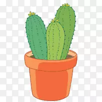 仙人掌科植物载体盆栽仙人掌-空若网 仙人掌科植物载体盆栽仙人掌-空若网