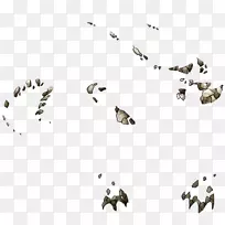 无脊椎动物体珠宝线字体线-空若网 无脊椎动物体珠宝线字体线-空若网