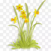 切花花瓣剪贴画-空若网 切花花瓣剪贴画-空若网