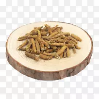 毛毛虫真菌中药冬虫夏草-空若网 毛毛虫真菌中药冬虫夏草-空若网