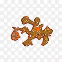 动物字体-护身符热键-空若网 动物字体-护身符热键-空若网