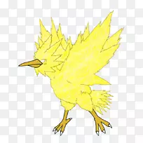 喙羽开花植物-羽毛-空若网 喙羽开花植物-羽毛-空若网