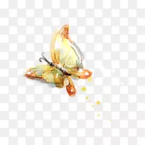 ºûµûË®²Ê»Ë®Ä«»Ë®²Ê»ºûµû-¿ÕÈôÍø ºûµûË®²Ê»Ë®Ä«»Ë®²Ê»ºûµû-¿ÕÈôÍø