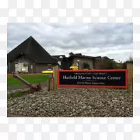 房顶标牌-哈特菲尔德豪宅-空若网 房顶标牌-哈特菲尔德豪宅-空若网