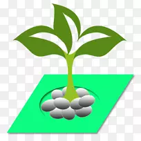 水培农业移动电话-荷兰人水培-空若网 水培农业移动电话-荷兰人水培-空若网