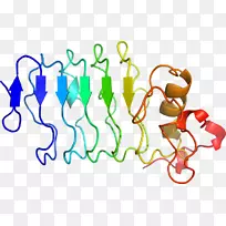 �ߵ������������-������