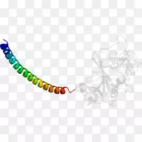 艺术身体珠宝有机体剪贴艺术珠宝首饰-空若网 艺术身体珠宝有机体剪贴艺术珠宝首饰-空若网