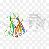 ƽ����Ƽ�����.���-������