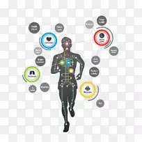 生理学、健康运动、生理心理学-科学-空若网 生理学、健康运动、生理心理学-科学-空若网