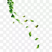 Adobe插画-绿色和新鲜的叶子漂浮的材料-空若网 Adobe插画-绿色和新鲜的叶子漂浮的材料-空若网