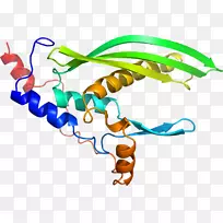 �����߶����������-������