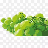 葡萄奥格里斯橘子141,特瑞凯曹帽-乐坦顿绿葡萄-空若网 葡萄奥格里斯橘子141,特瑞凯曹帽-乐坦顿绿葡萄-空若网