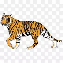老虎野猫胡须陆地动物-老虎-空若网 老虎野猫胡须陆地动物-老虎-空若网