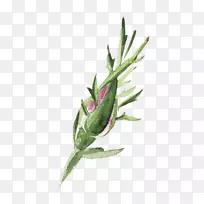 Ë®²Ê».Ë®²Ê»»¨¹Ç-¿ÕÈôÍø Ë®²Ê».Ë®²Ê»»¨¹Ç-¿ÕÈôÍø