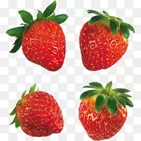 ��ݮ��-������