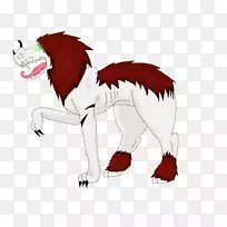 猫科动物-空若网 猫科动物-空若网