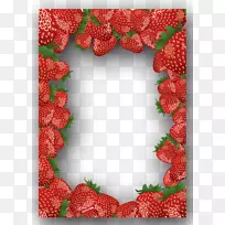 ��ݮ���͵���-������