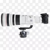 摄像机镜头,佳能镜头,安装佳能,eos,5d标记,iv佳能,ef 500 mm,f/4l,isⅡ,usm镜头,canon,ef,500 mm镜头-照相机镜头。-空若网 摄像机镜头,佳能镜头,安装佳能,eos,5d标记,iv佳能,ef 500 mm,f/4l,isⅡ,usm镜头,canon,ef,500 mm镜头-照相机镜头。-空若网