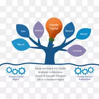 组织人力资源管理系统-人力资源管理系统-空若网 组织人力资源管理系统-人力资源管理系统-空若网