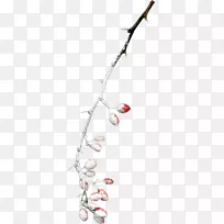 树枝,雪树,雪覆盖的树枝-空若网 树枝,雪树,雪覆盖的树枝-空若网