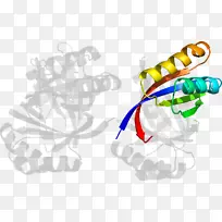 �ߵ������-��-������