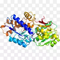 �����߶����������-������