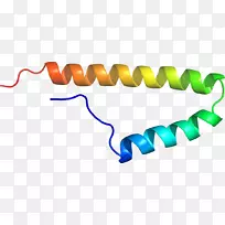 �ߵ������-��-������