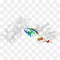 昆虫图形设计传粉器剪贴画昆虫-空若网 昆虫图形设计传粉器剪贴画昆虫-空若网