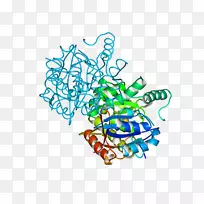 �ߵ������-��-������