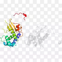 平面设计有机体剪贴画设计-空若网 平面设计有机体剪贴画设计-空若网