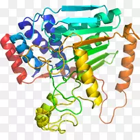 ���������л����߼�������-������