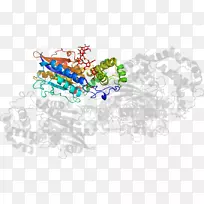 桌面壁纸体珠宝树剪贴画树-空若网 桌面壁纸体珠宝树剪贴画树-空若网