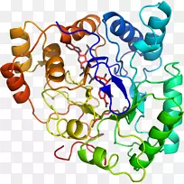 人体首饰有机体线剪贴画线-空若网 人体首饰有机体线剪贴画线-空若网