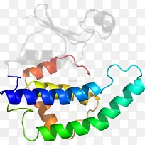 人体首饰有机体线剪贴画线-空若网 人体首饰有机体线剪贴画线-空若网