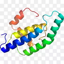 人体珠宝线有机体剪贴画线-空若网 人体珠宝线有机体剪贴画线-空若网