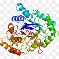 人体首饰有机体线剪贴画线-空若网 人体首饰有机体线剪贴画线-空若网