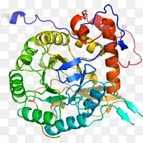 ���߼�����-��-������