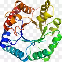 人体珠宝有机体剪贴画.珠宝-空若网 人体珠宝有机体剪贴画.珠宝-空若网