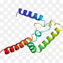 猫科电视节目视频youtube-cat-空若网 猫科电视节目视频youtube-cat-空若网