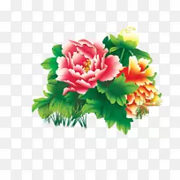 下载花卉.xchng-手绘牡丹-空若网 下载花卉.xchng-手绘牡丹-空若网