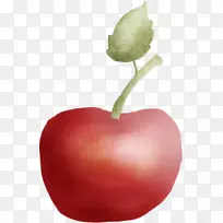 苹果彩绘苹果-空若网 苹果彩绘苹果-空若网