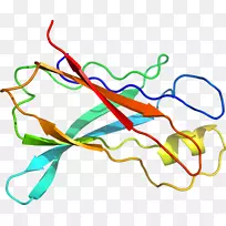 �ߵ������-��-������