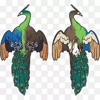 ���-������