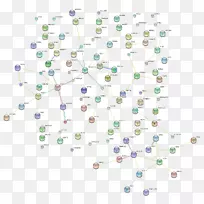 珠塑线车身首饰点线-空若网 珠塑线车身首饰点线-空若网