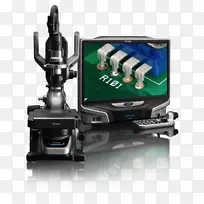 ��ѧ����������ѧ��������-������